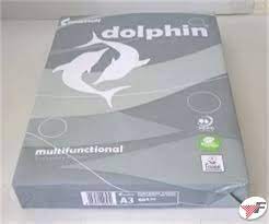 CARTA A3  80GR DOLPHIN PEFC Foto prodotto